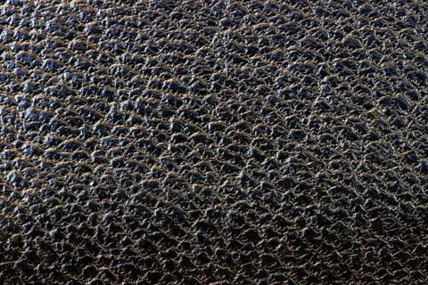 Leather texture Stock Photos