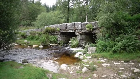 Leather Tor Bridge Dartmoor Devon England. Stock Footage 134401586