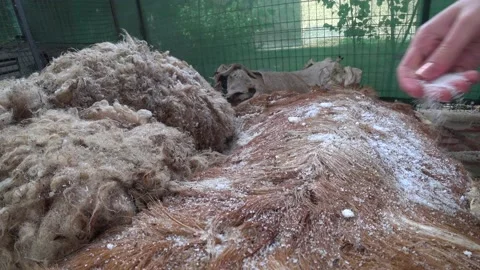 Leather Working 2 Video stock 141456546