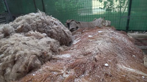 Leather Working Video stock 141456374