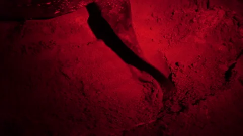 Leatherback sea turtle covers an egg hole with sand on a beach in Tobago. Stock Footage 273237301