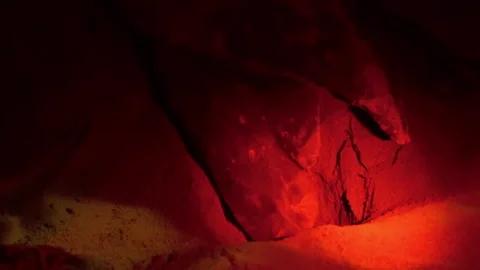 The leatherback sea turtle covers the nest with eggs. Tobago and Trinidad. Stock Footage 302651216