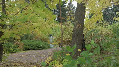 Leatherclad lady walks through fall, Mysterious woman in leather wanders autumn Stock Footage 329579834