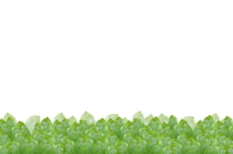 Leave  background 스톡 사진