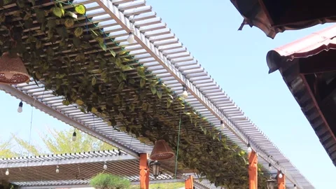 Leave Video stock 307761756