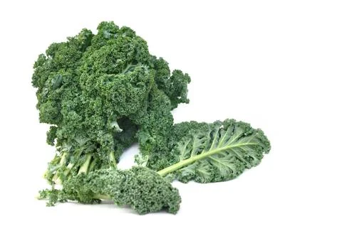 Leave of kale cabbage Stock Photos