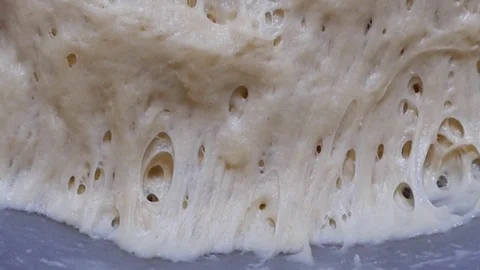 Leavened dough, ready to make bread dough, sour dough. 動画素材 104747207