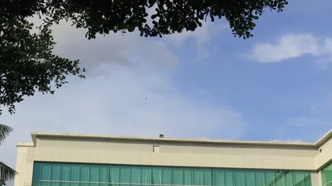 The leaves  (1) Stock Footage 302127884