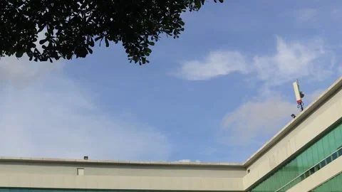 The leaves  (9) Stock Footage 302128044