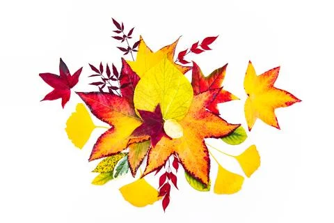 Leaves across leaves with leaf pattern. Leaves around leaf layout. Autumn Stock Photos