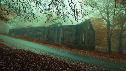 Leaves All Around The Road In Front Of The Abandoned House Stock Footage 316683991