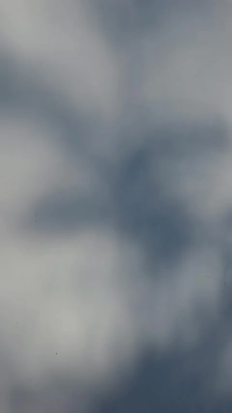 Leaves and branches shadow swaying in a strong wind for mystery Halloween backgr Stock Footage 342430735