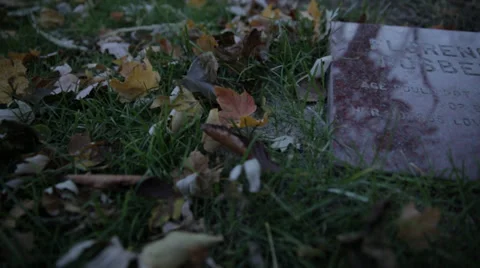 Leaves and grave marker Stock Footage 34028148