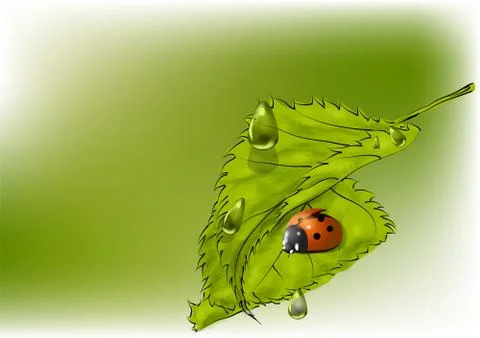 Leaves and ladybug Stock Illustration