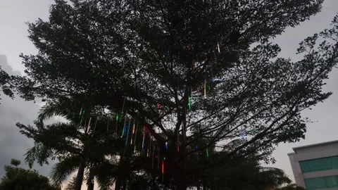 Leaves and lights (3) Video stock 276279569