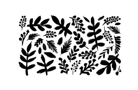 Leaves and pine branches hand drawn vector set. Stock Illustration