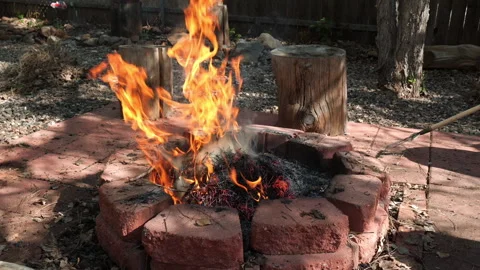 Leaves and pine needles burning in a fire pit Stock Footage 242936760