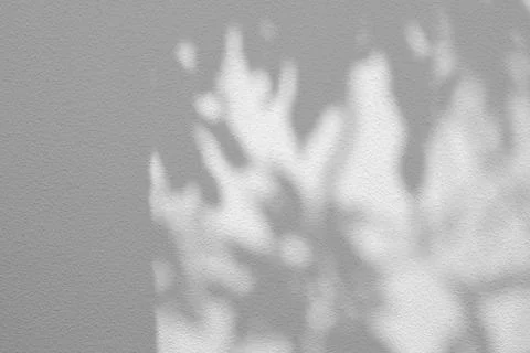 Leaves and Tree Shadow on White Concrete Wall Background with Space for Text Stock Illustration