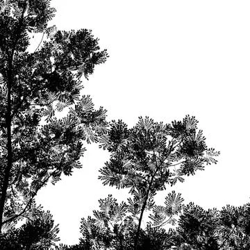 Leaves and trees for web background in monochrome. Stock Photos