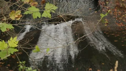 Leaves and waterfall Stock-Footage 10702094