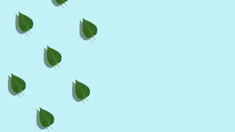 Leaves animated pattern, dynamic and bright. Made of photos. Abstract Spring or Stock Footage 130074204