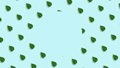 Leaves animated pattern, dynamic and bright. Made of photos. Abstract Spring or Stock Footage 130083064