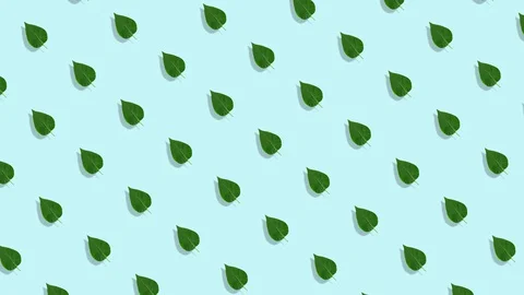 Leaves animated pattern, dynamic and bright. Made of photos. Abstract Spring or Stock Footage 130083148