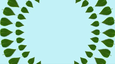 Leaves animated pattern, dynamic and bright. Made of photos. Abstract Spring or Stock Footage 130084347
