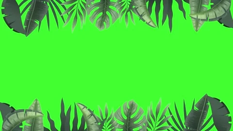 Leaves animation1 Video stock 277688620