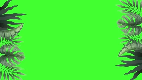 Leaves animation2 Stock Footage 277688592