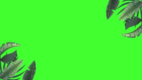 Leaves animation3 Stock Footage 277688616