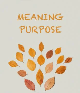 The leaves are arranged in a circular pattern, with some overlapping Stock Photos