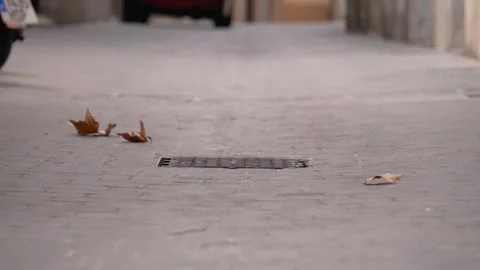 Leaves are falling and flying Stock-Footage 248306154