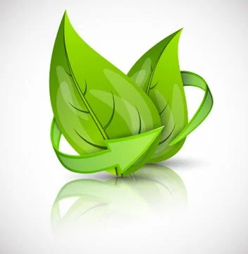 Leaves with arrows Stock Illustration