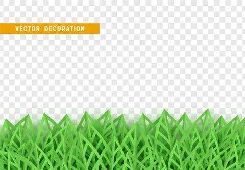 Leaves background. foliage isolated. vector leaf pattern. Stock Illustration