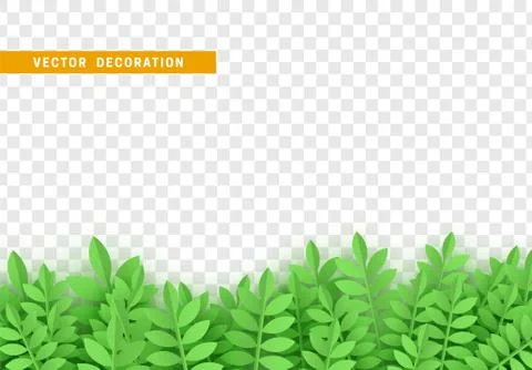 Leaves background. foliage isolated. vector leaf pattern. Illustrazione stock