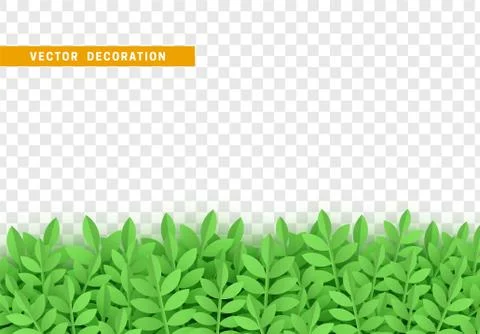Leaves background. foliage isolated. vector leaf pattern. Illustrazione stock