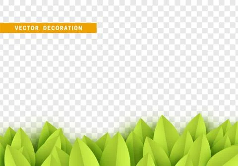 Leaves background. foliage isolated. vector leaf pattern. 스톡 일러스트