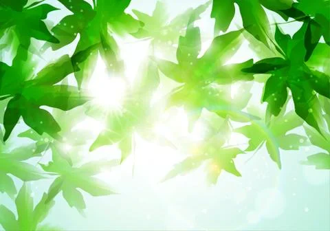 Leaves background Illustrazione stock