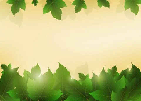Leaves background Stock Illustration