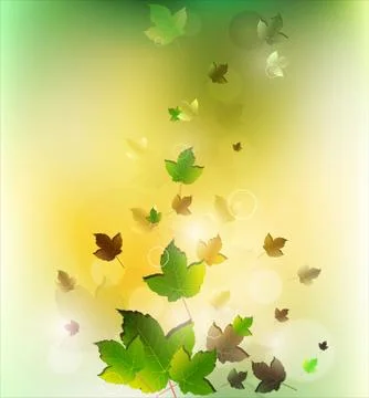 Leaves background Stock Illustration