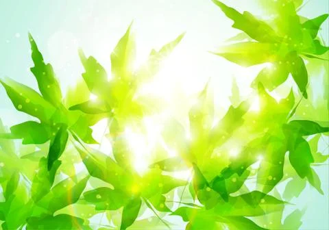 Leaves background Illustrazione stock