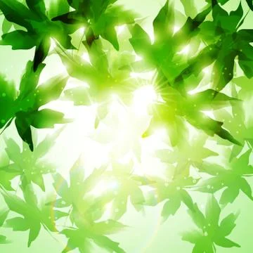 Leaves background Stock Illustration