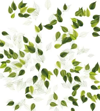 Leaves background 스톡 일러스트