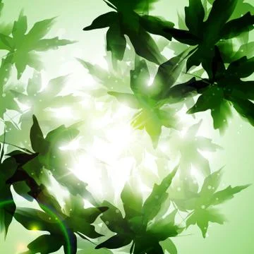 Leaves background Stock Illustration
