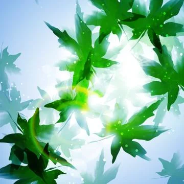 Leaves background Stock Illustration