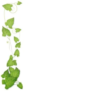 Leaves background Stock Illustration