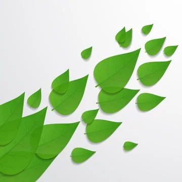 The leaves background Stock Illustration