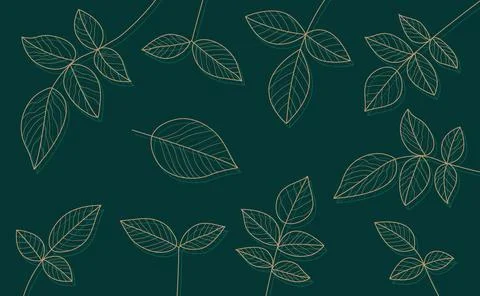 Leaves background pattern luxury tropical leaf golden lines abstract Stock Illustration