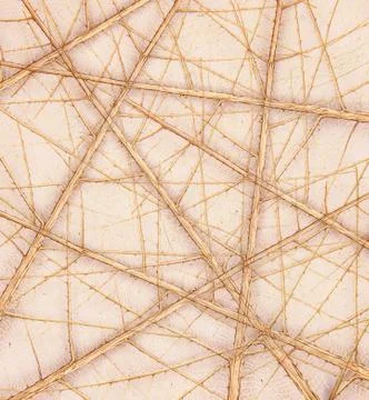 Leaves background texture Stock Photos